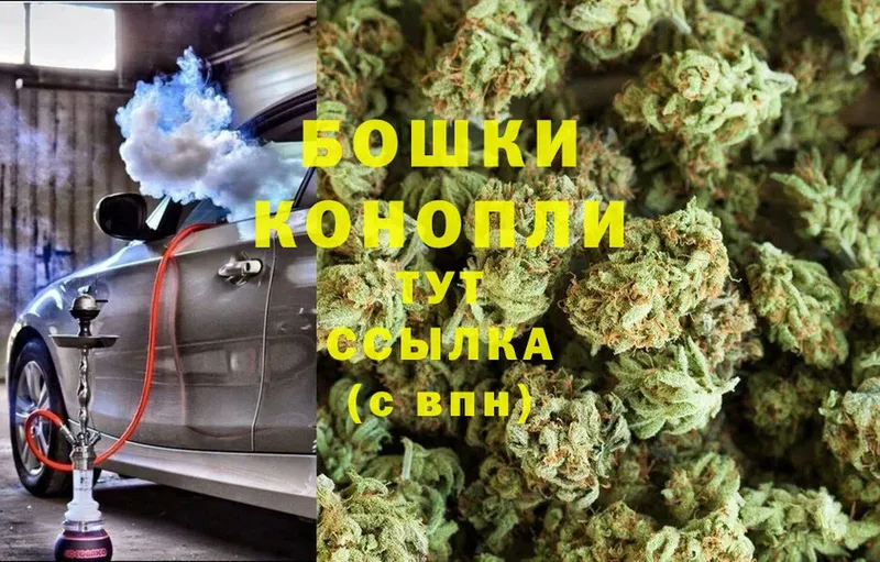 Бошки марихуана LSD WEED  где купить наркоту  Осташков 